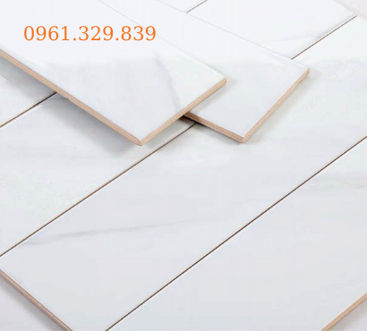 GẠCH THẺ TRẮNG PHẲNG 10x20 TS 1202