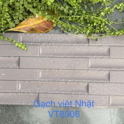 Gạch Trang Trí VT 8906