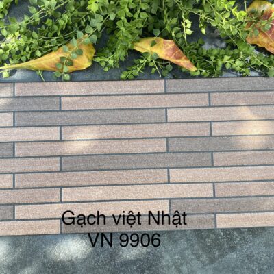 Gạch Trang Trí VN 9906