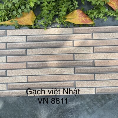 Gạch Trang Trí VN 8811