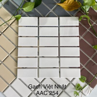 GẠCH VỈ VIỆT NHẬT AAC 254